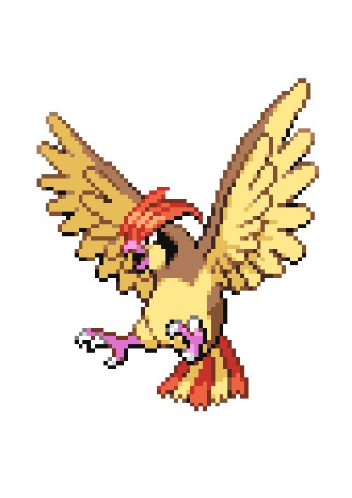 Pokemon Pidgeotto