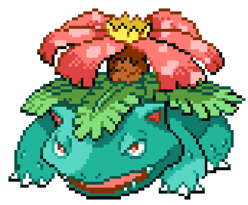 Pokemon Venussauro
